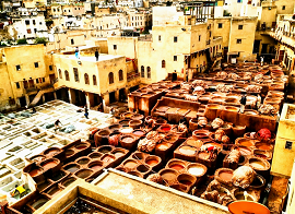 Chowara Tannery Fes Morocco