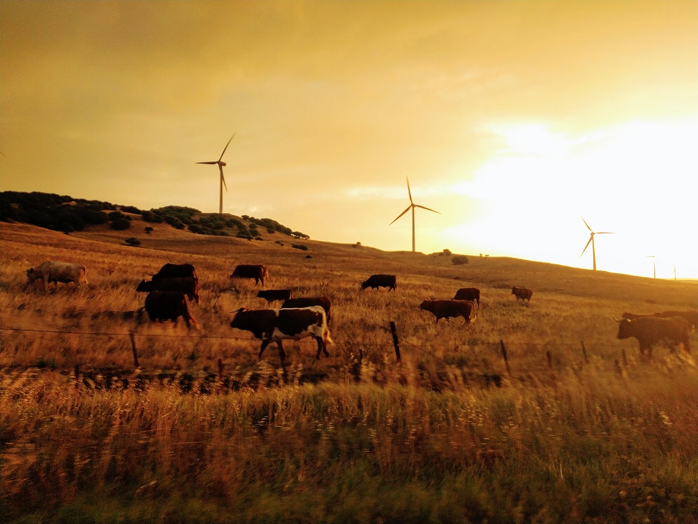 Bolonia Beach in Tarifa, Spain - España