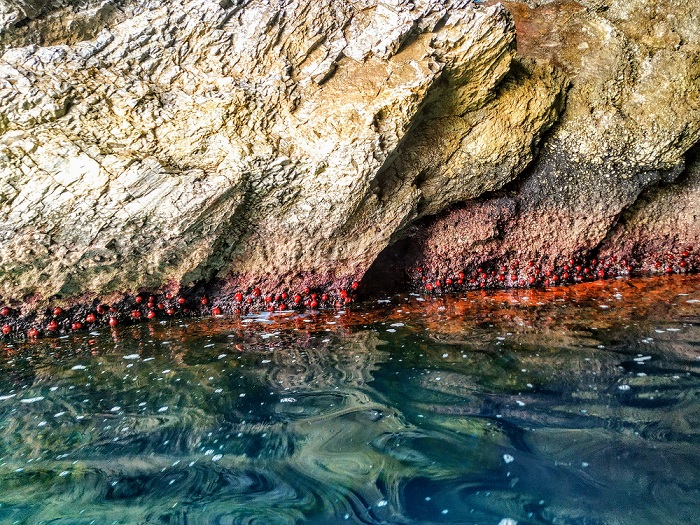 la herradura, españa, spain, corlas