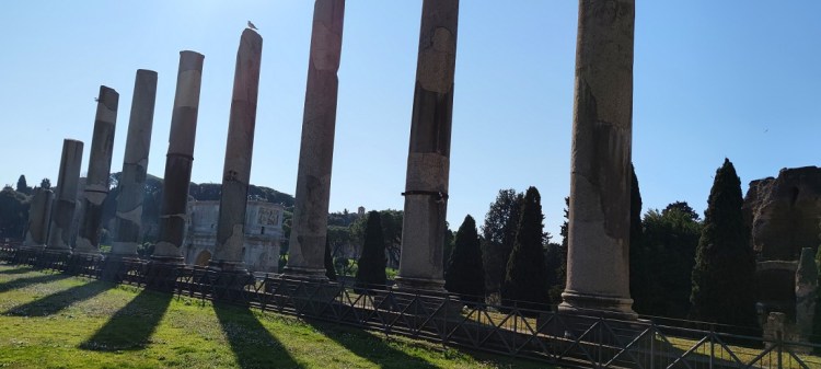 Temple of Venus and Rome