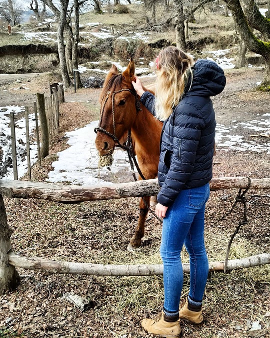 San Martín de los Andes