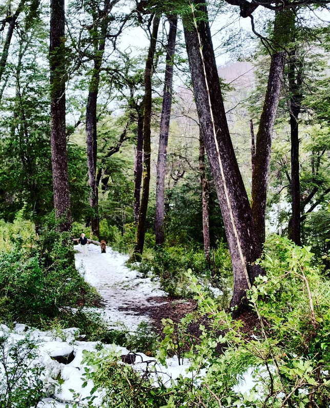 San Martín de los Andes