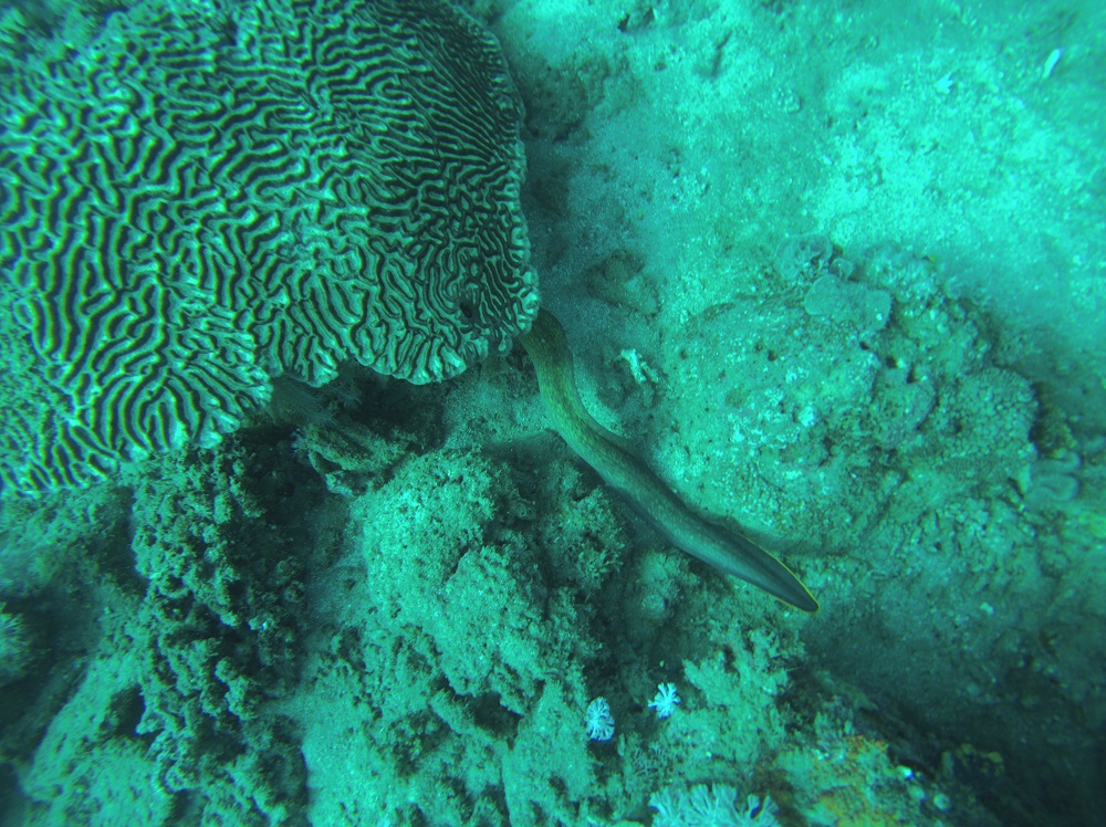 Batangas The Philippines