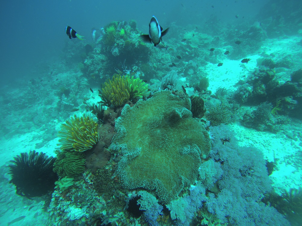 Batangas The Philippines