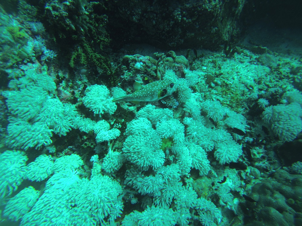 Batangas The Philippines