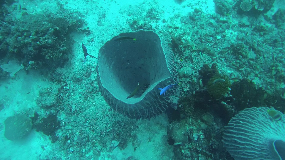 Batangas The Philippines