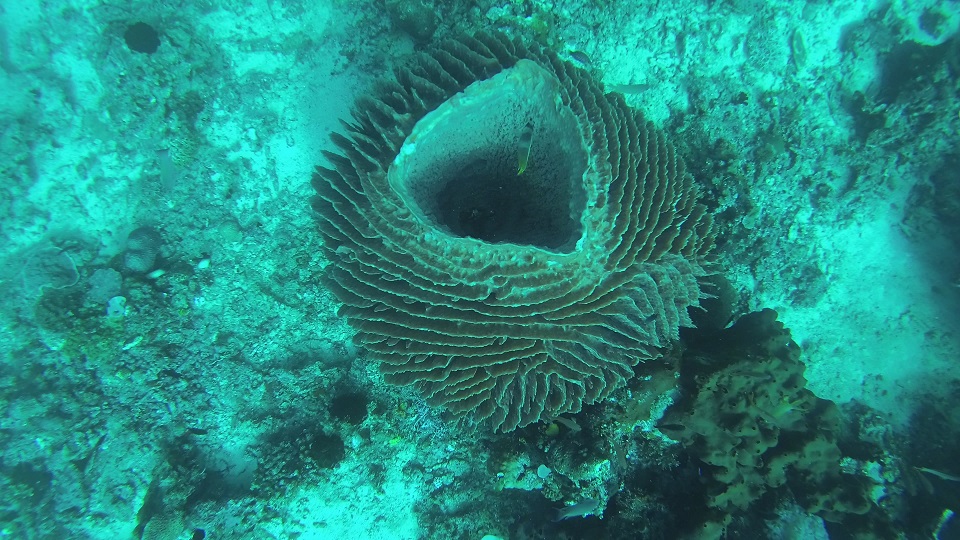 Batangas The Philippines