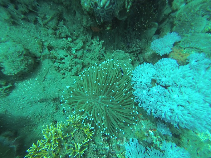 Batangas The Philippines