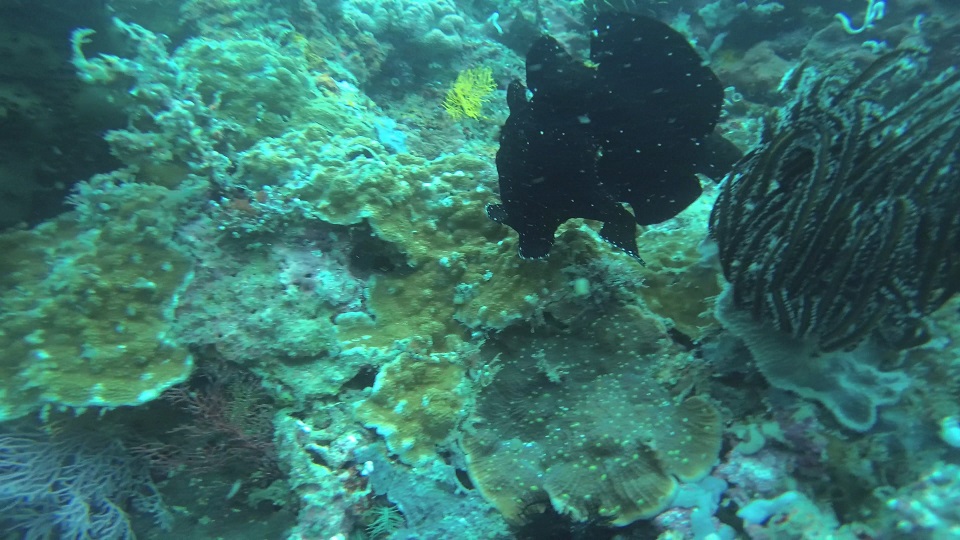 Batangas The Philippines