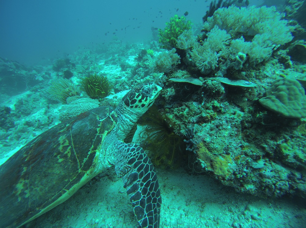 Batangas The Philippines