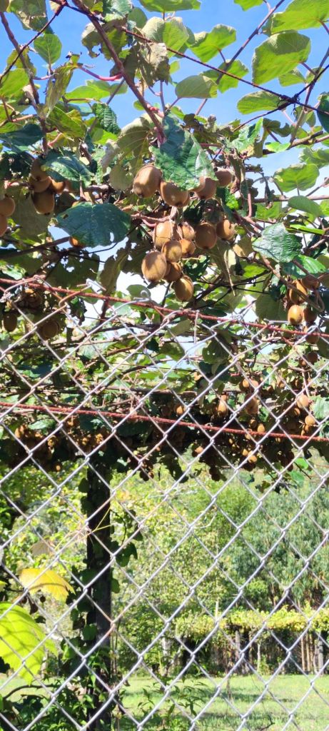 Santiago de Compostela