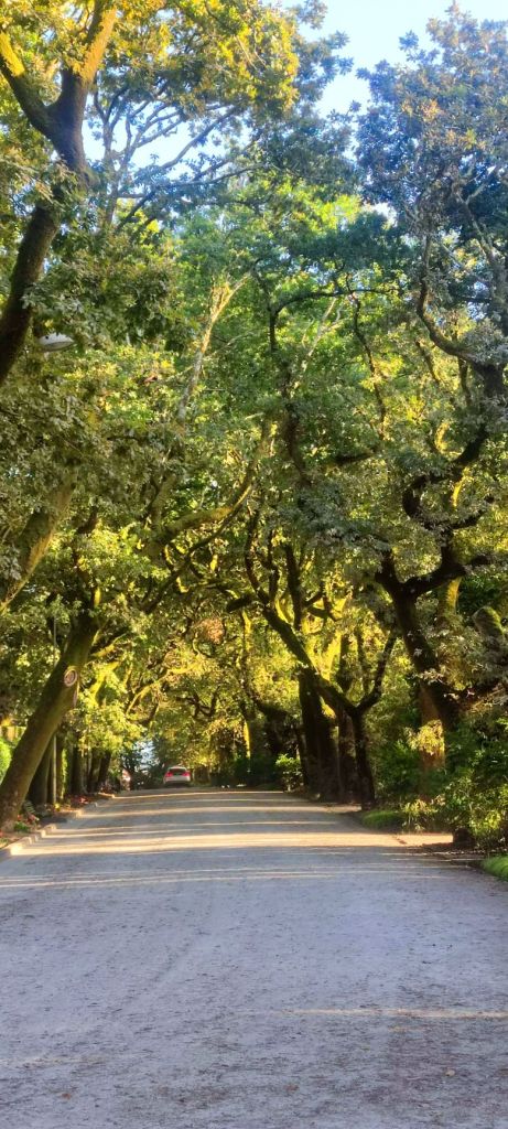 Santiago de Compostela