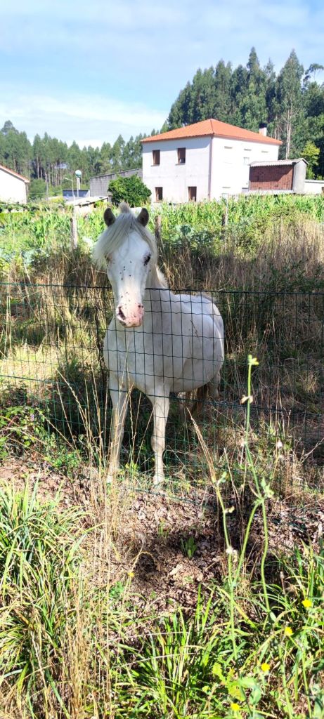 Santiago de Compostela
