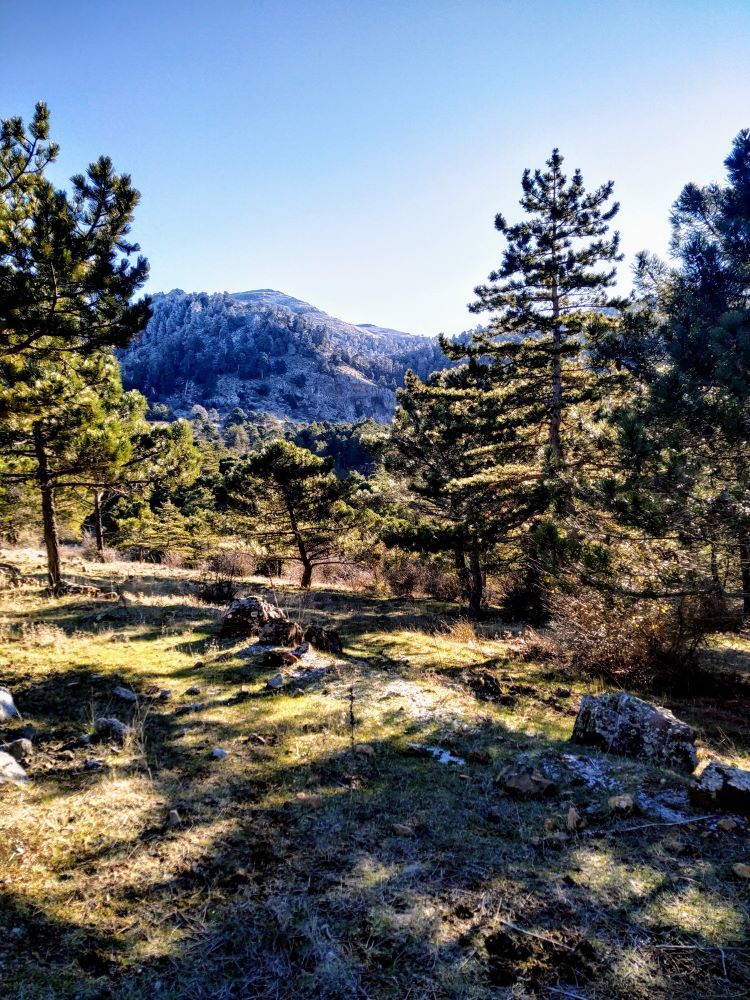 Sierra de las Nieves