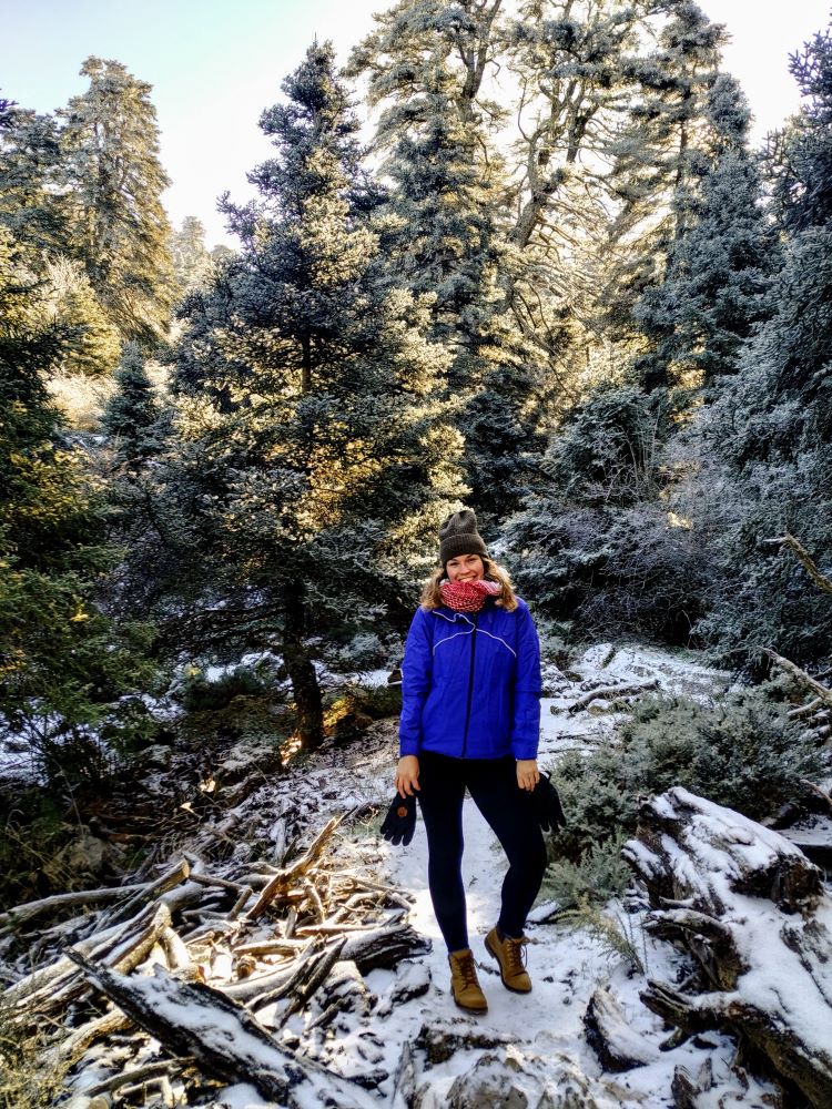 Sierra de las Nieves