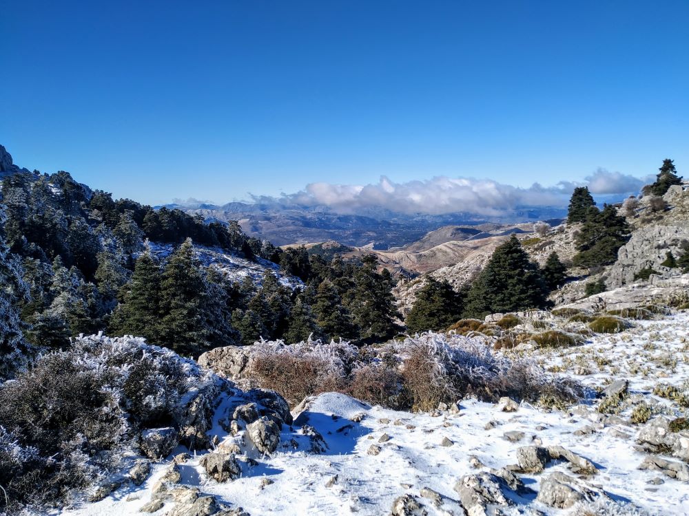 Sierra de las Nieves