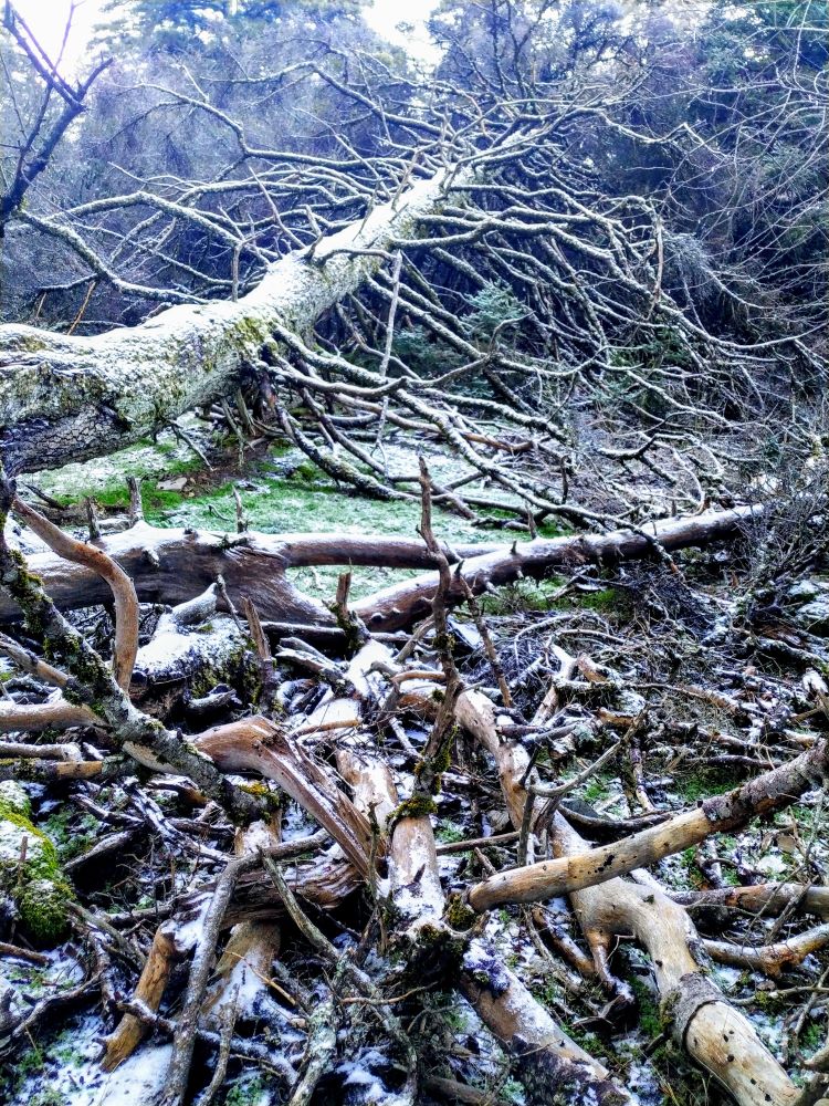 Sierra de las Nieves