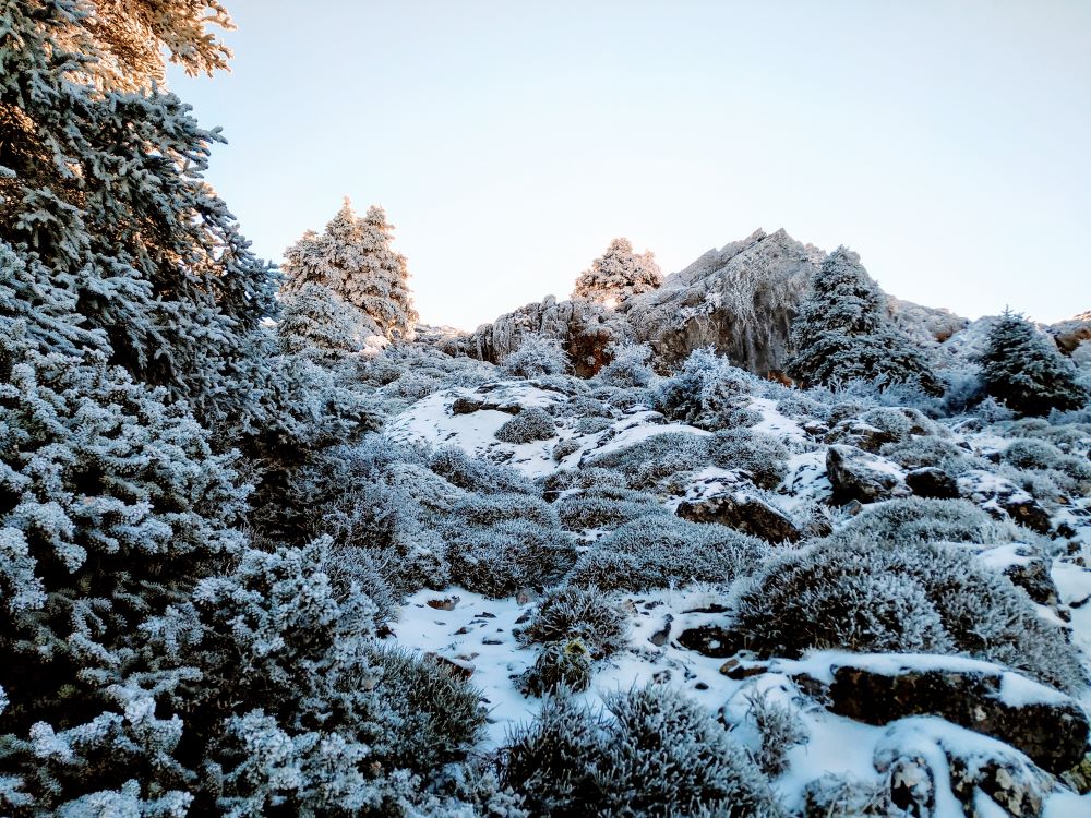 Sierra de las Nieves