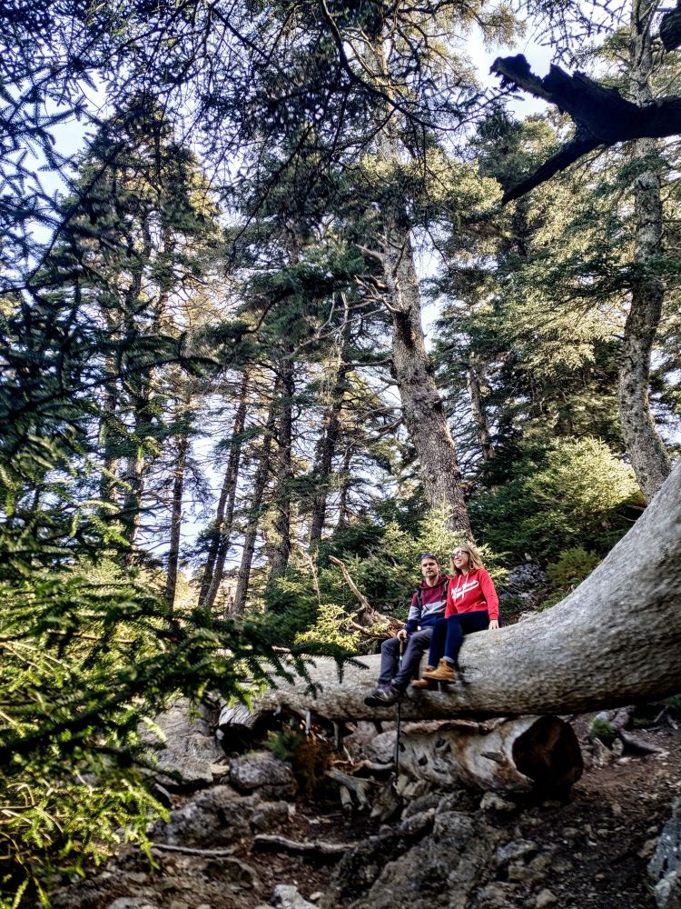 Sierra de las Nieves