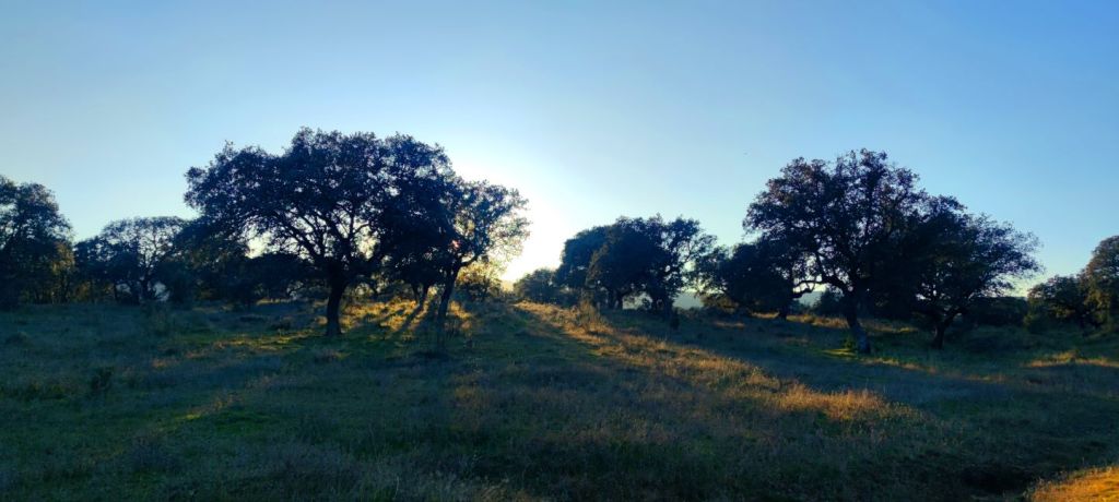Vía Verde de la Plata