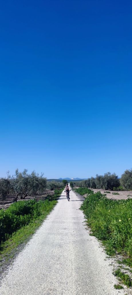 Vía Verde del Aceite
