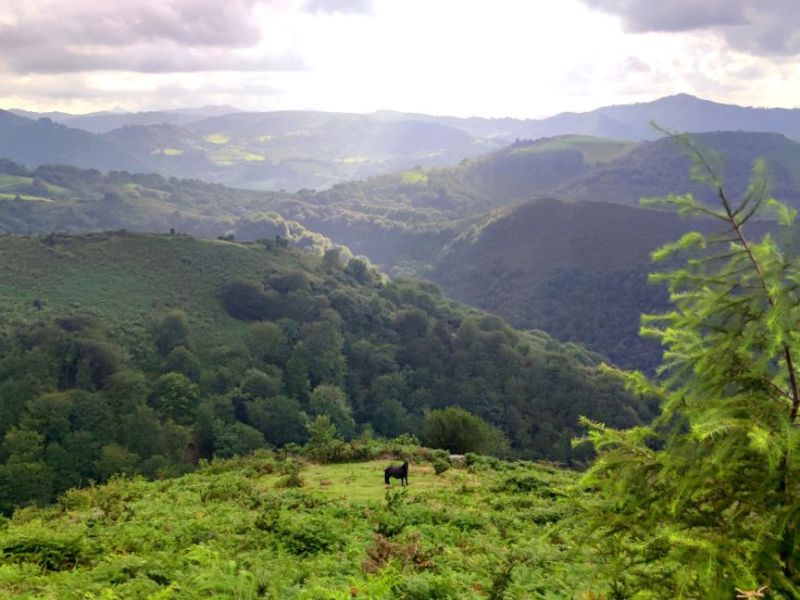 BAZTAN VALLEY: NATURE, HISTORY, AND FLAVOR IN THE HEART OF THE NAVARRESE&nbsp;PYRENEES