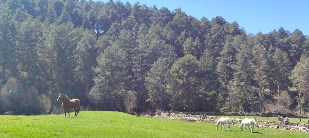 Sierra de Gredos