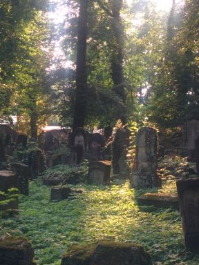 Kraków