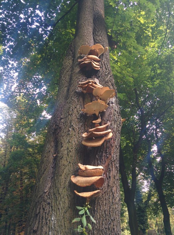 Ojców National Park